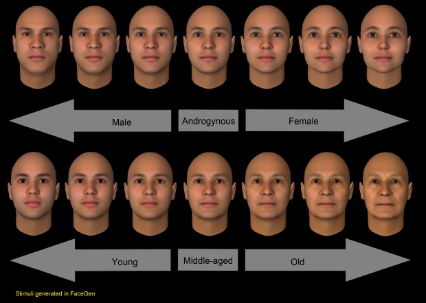 FaceGen same face may look female or male depending on field of view